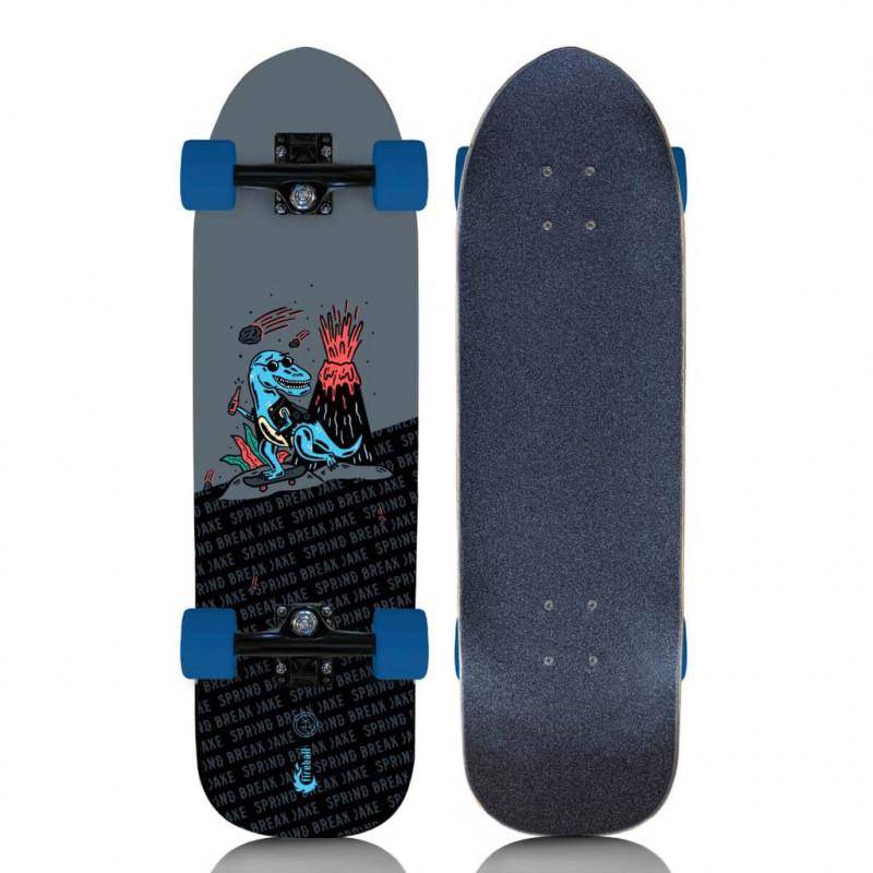 FIREBALL LIMITED EDITION SPRING BREAK JAKE ARTIST SERIES 29.5" CRUISER SKATEBOARD COMPLETE