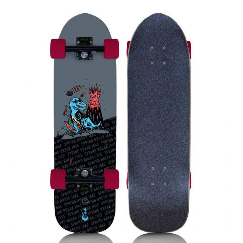 FIREBALL LIMITED EDITION SPRING BREAK JAKE ARTIST SERIES 29.5" CRUISER SKATEBOARD COMPLETE