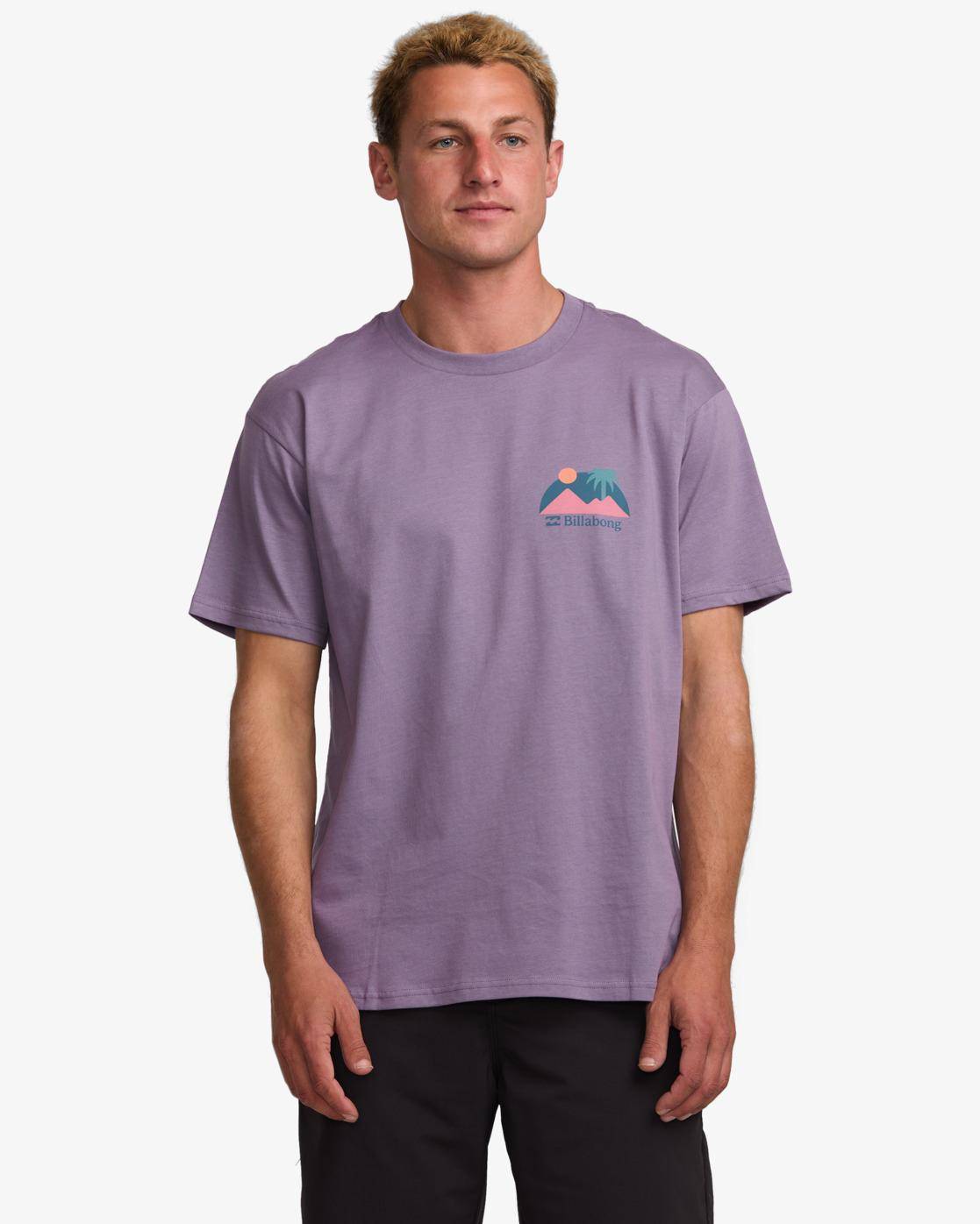 Billabong Sun Down Adventure Division - T-shirt for men